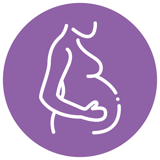 Gravid