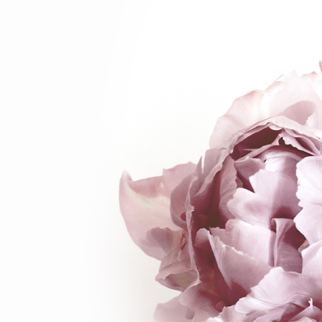 Kapitlet om  Overgangsalderen