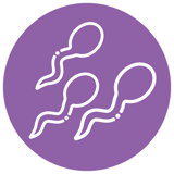 Fertilitet