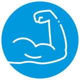 Muskelfunktion